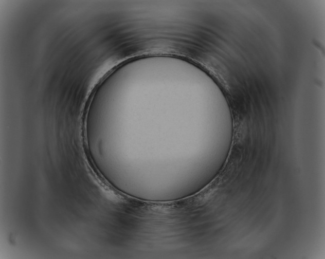 X0000091851086200709191051