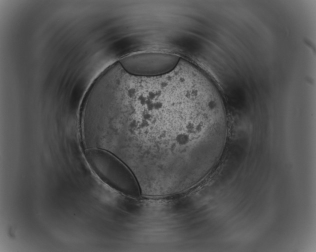 X0000091851087200709191051