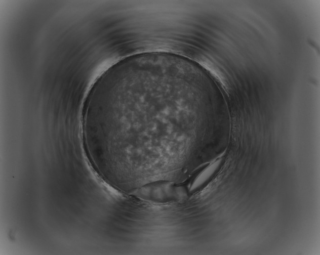 X0000091851088200709191051