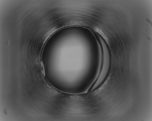 X0000091851089200709191051