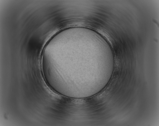 X0000091851090200709191051