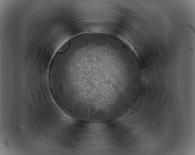 X0000091851091200709191051