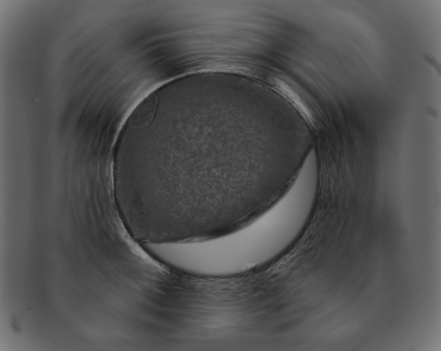 X0000091851092200709191051