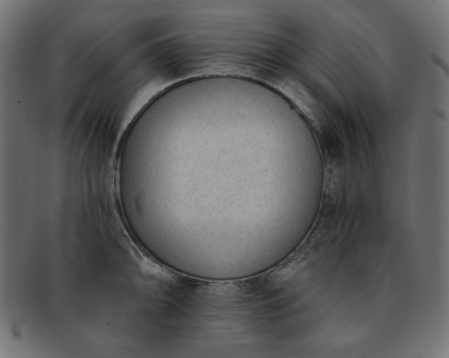 X0000091851094200709191051