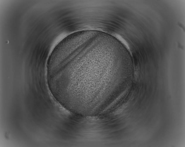 X0000091851096200709191051