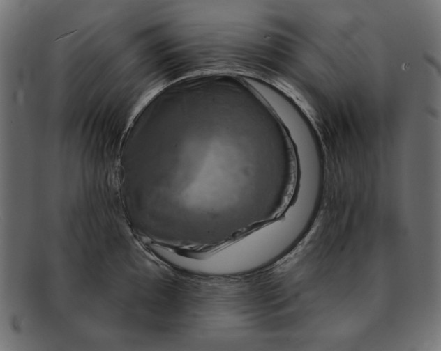 X0000091851097200709191051