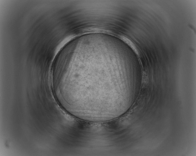 X0000091851098200709191051