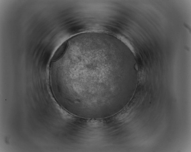 X0000091851099200709191051