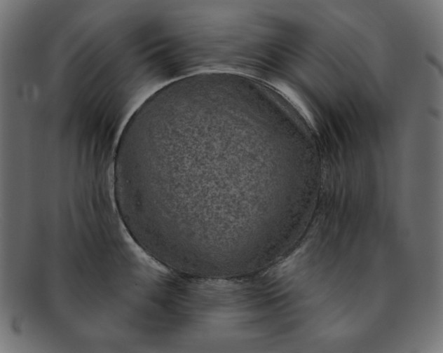 X0000091851100200709191051