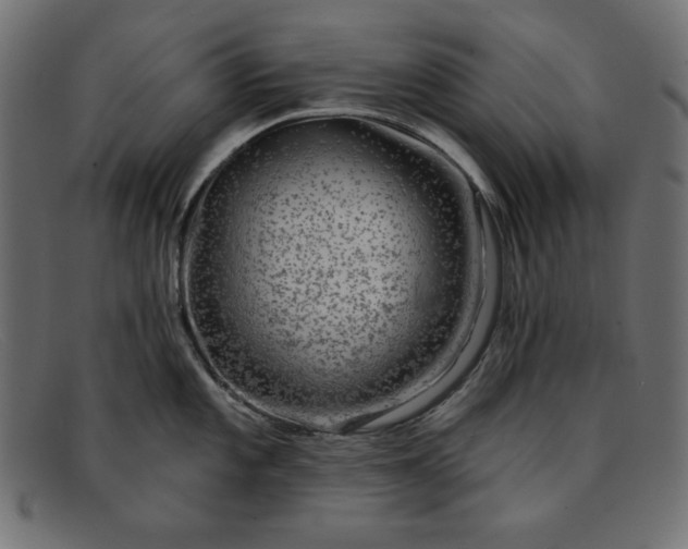 X0000091851101200709191051