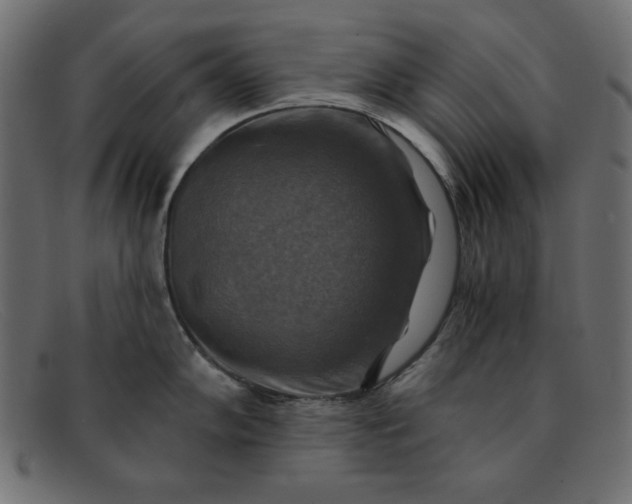 X0000091851102200709191051