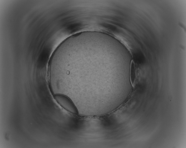 X0000091851103200709191051