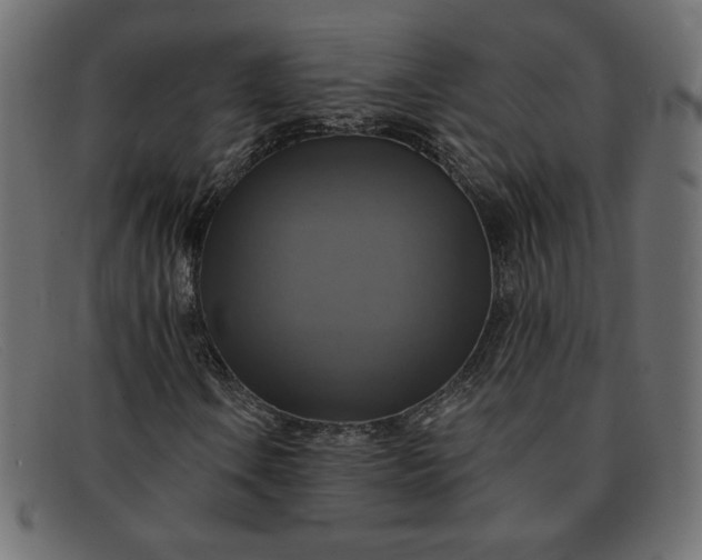 X0000091851106200709191050