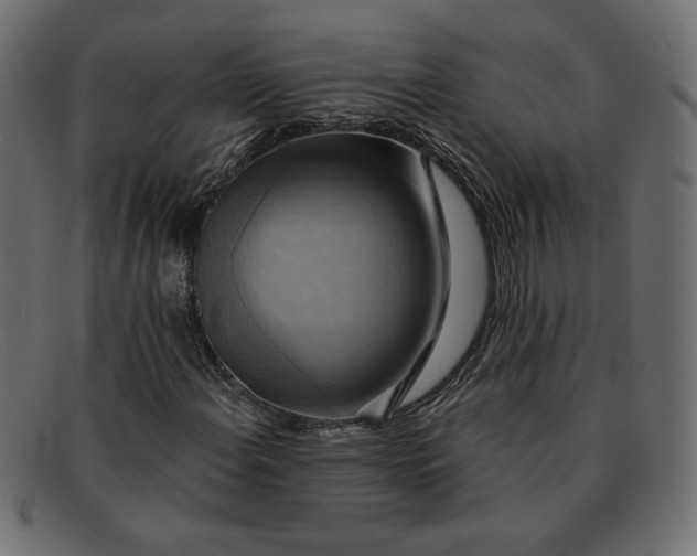 X0000091851108200709191050