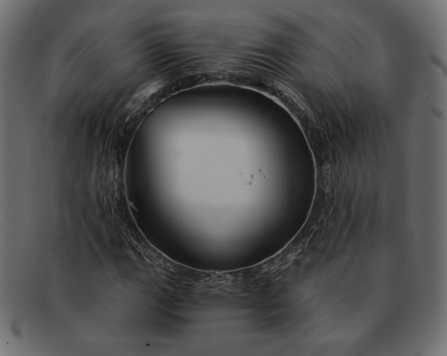 X0000091851111200709191050