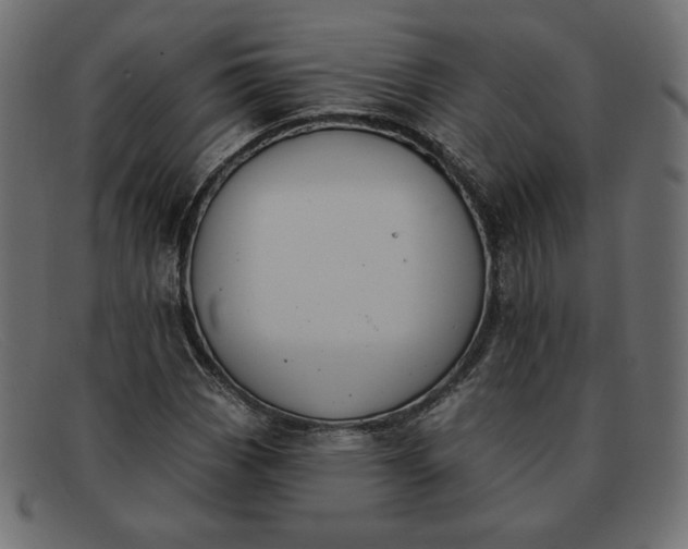 X0000091851113200709191050