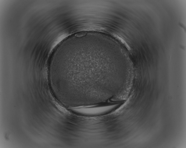 X0000091851114200709191050