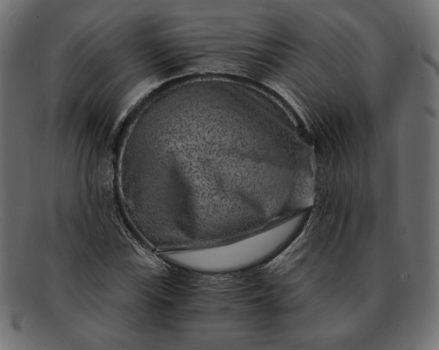 X0000091851115200709191050