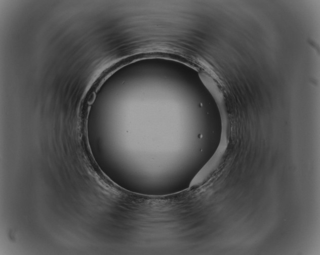 X0000091851116200709191050