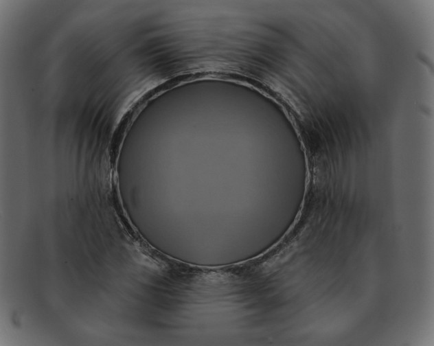 X0000091851117200709191050