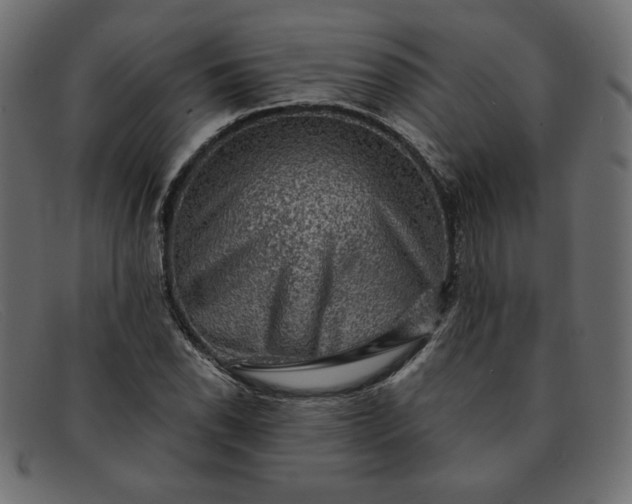 X0000091851118200709191050