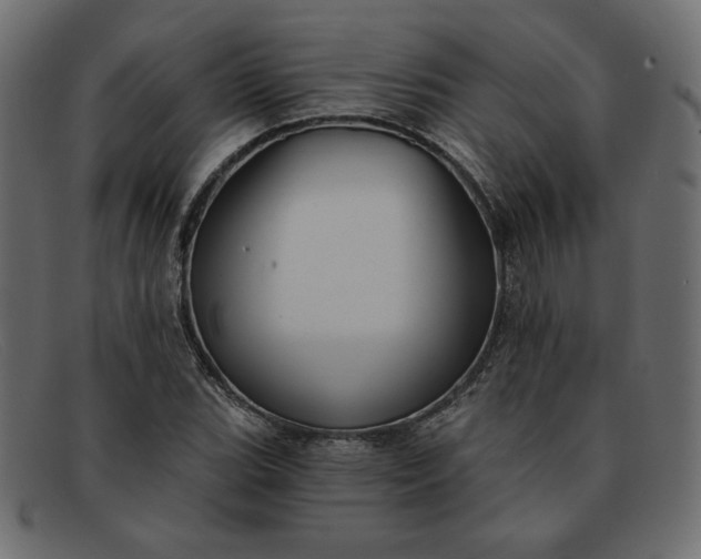 X0000091851119200709191050