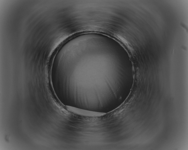 X0000091851120200709191050