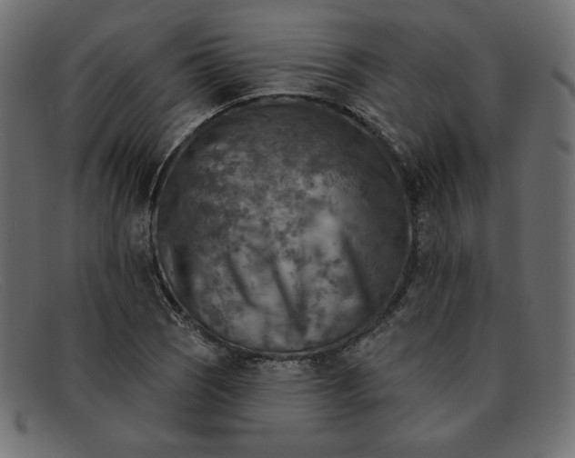 X0000091851121200709191050