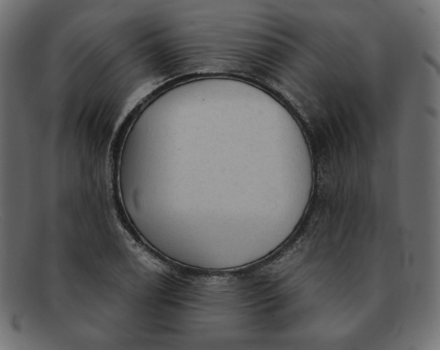 X0000091851122200709191050