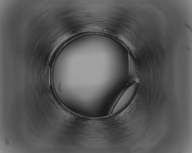 X0000091851123200709191050