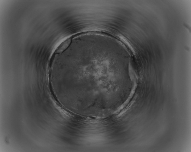X0000091851124200709191050