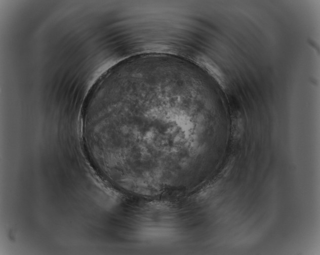 X0000091851125200709191050