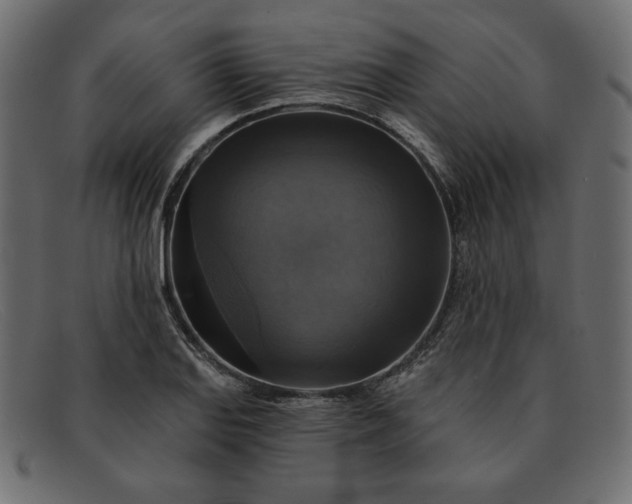 X0000091851127200709191050