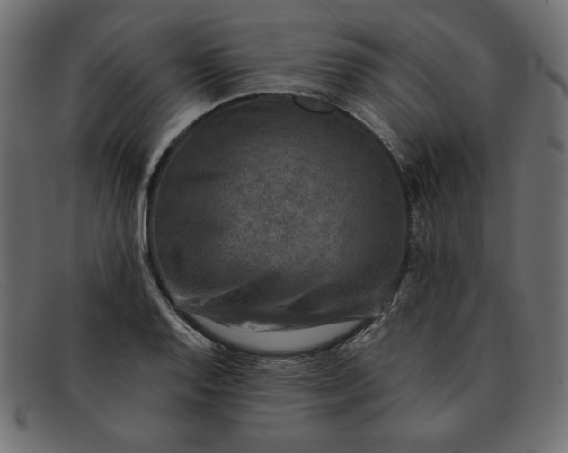 X0000091851128200709191050