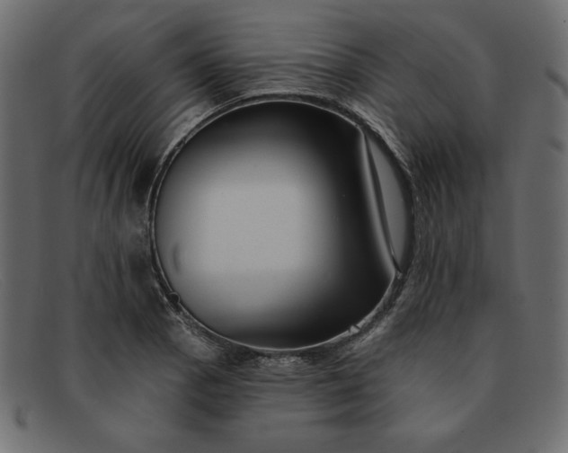 X0000091851129200709191050