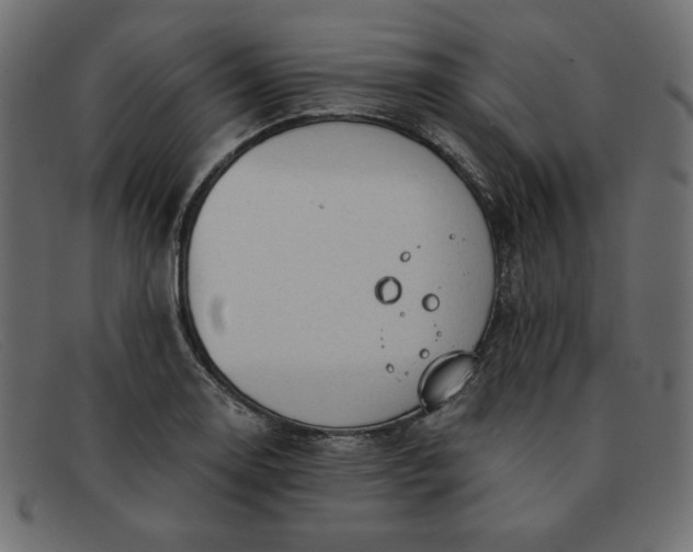 X0000091851130200709191050