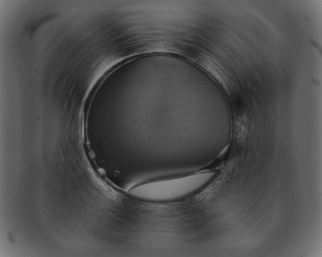 X0000091851132200709191050