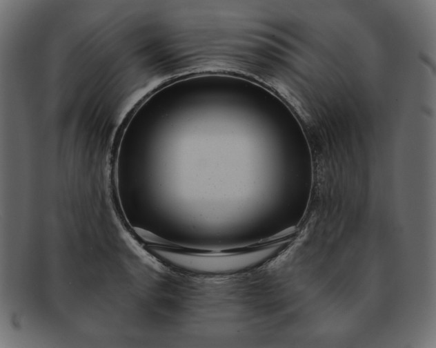 X0000091851134200709191051