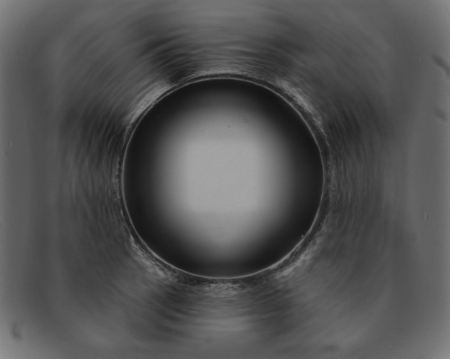 X0000091851137200709191051