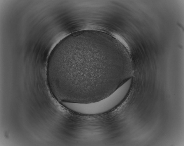 X0000091851138200709191051