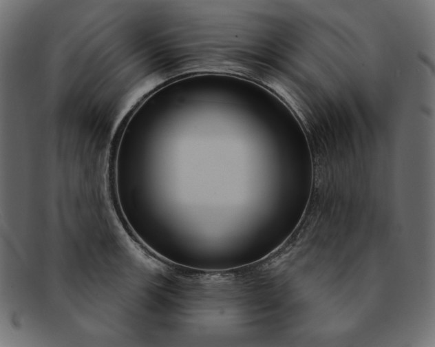 X0000091851139200709191051