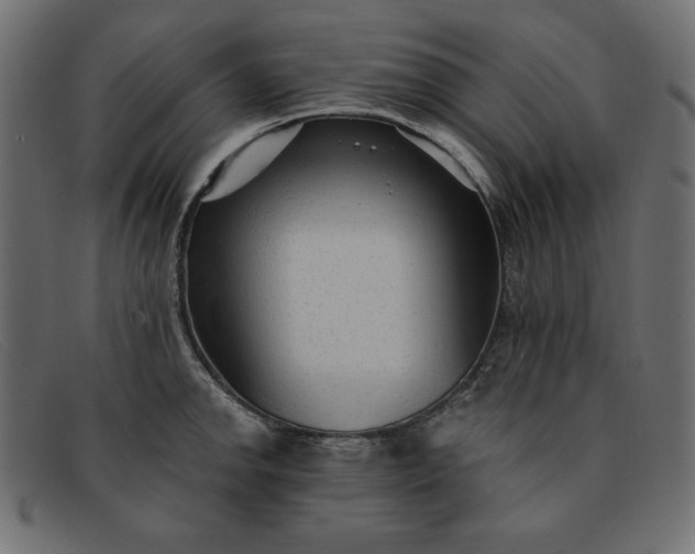 X0000091851142200709191051