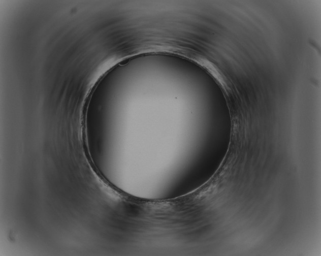 X0000091851143200709191051
