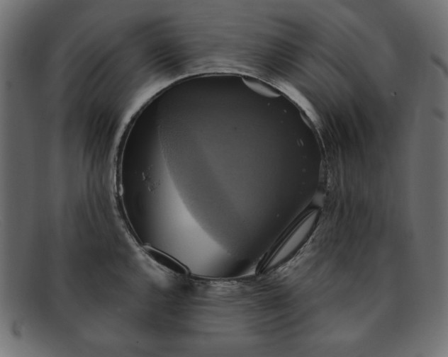 X0000091851144200709191051
