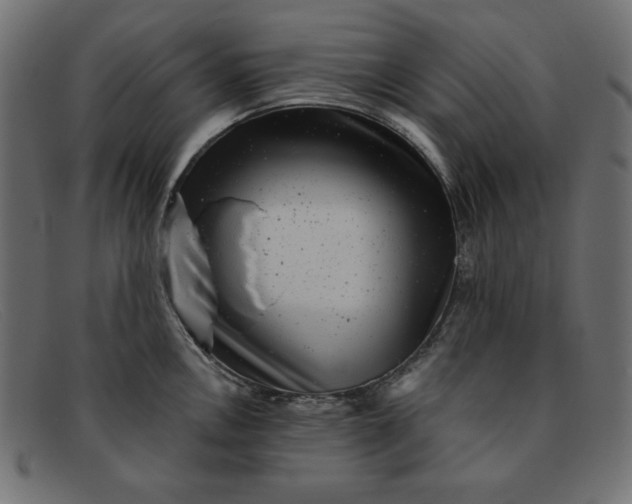 X0000091851146200709191051