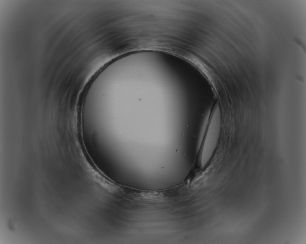X0000091851147200709191051