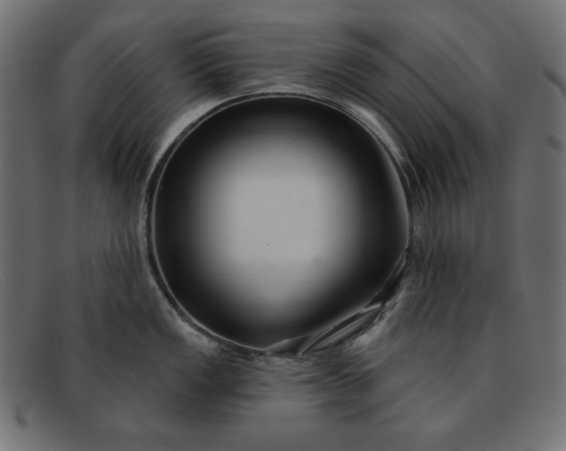 X0000091851149200709191051