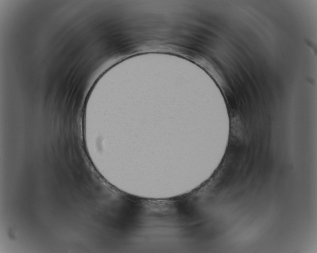 X0000091851150200709191051