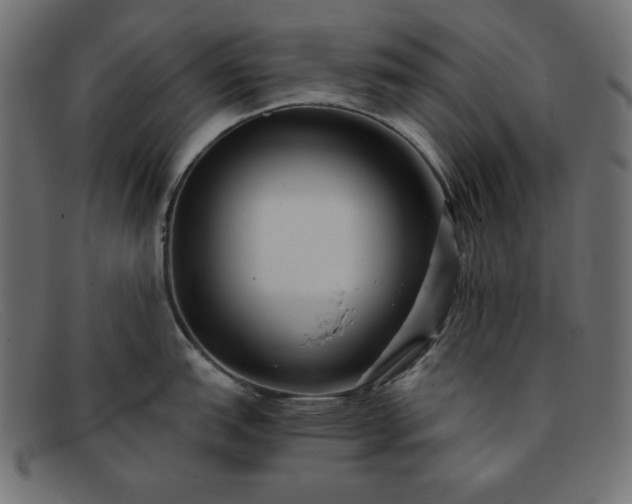 X0000091851151200709191051