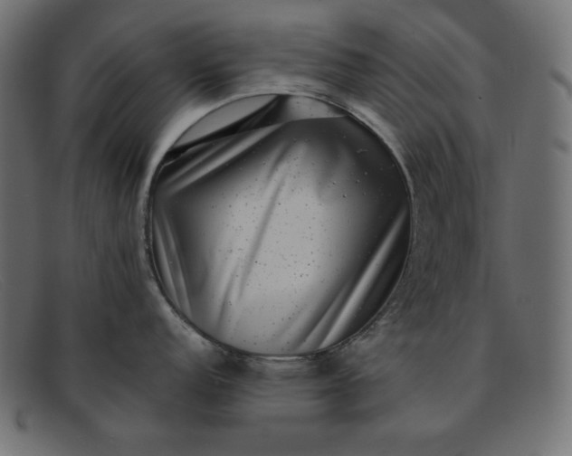 X0000091851152200709191051